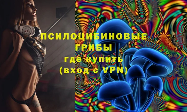 МДПВ Алзамай