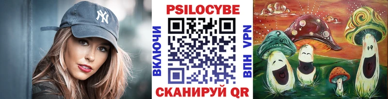 где купить наркоту  Боровичи  MEGA ссылки  Галлюциногенные грибы Psilocybine cubensis 