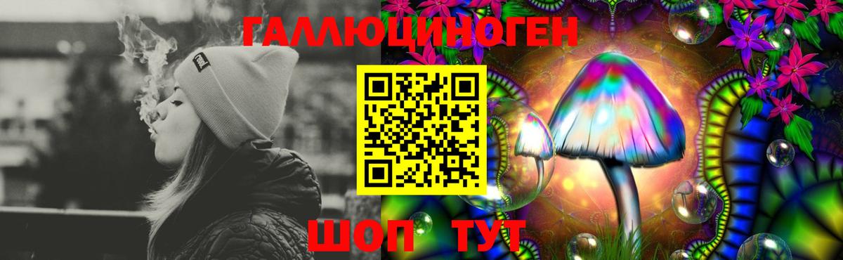 Галлюциногенные грибы Psilocybe  Вход с VPN  Боровичи 